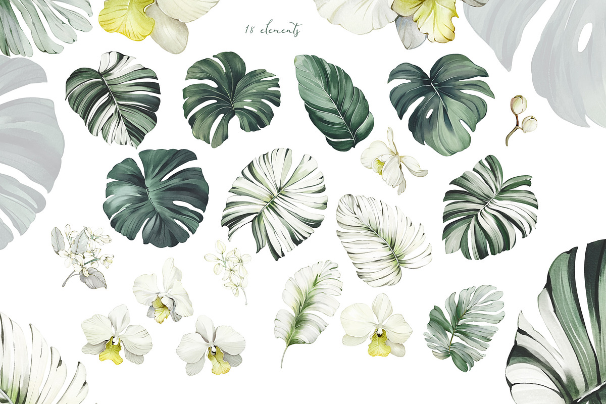 Tropical Seamless Patterns, a Pattern Graphic by Lisima (Photo 14 of 16)