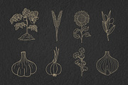 Vegetables doodle icons set, an Outline Icon by Gulnarart (Thumbnail 6 of 7)