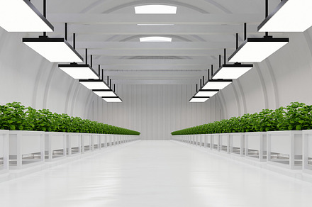 Hydroponic vegetable plant factory in exhibition space warehouse.