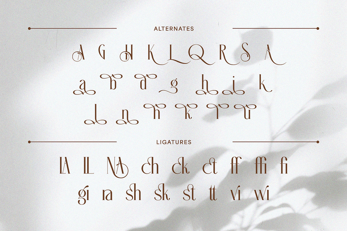 Helona - A New Modern Ligature Serif, a Serif Font by Almeera Std (Photo 5 of 10)
