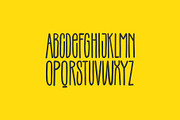 Terek font, a Script Font by Visio studio (Thumbnail 5 of 11)