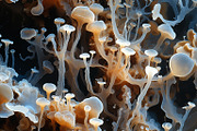 72 Microscopic Fungi Backgrounds, a Background Graphic by h.utomo (Thumbnail 56 of 72)