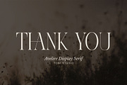 Avelire-modern ligature, a Serif Font by ToniStudio (Thumbnail 11 of 11)