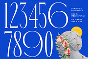 Emblora Modern Display Serif, a Script Font by timelesstype.co (Thumbnail 7 of 20)