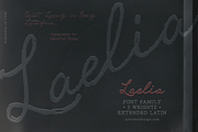 Laelia Font Family | Elegant Script, a Script Font by nadispasibenko (Thumbnail 1 of 11)