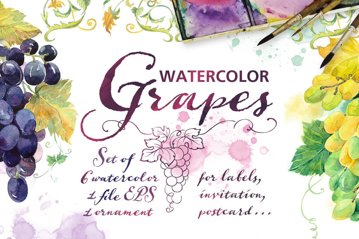 Watercolor Grapes & Ornament Set, an Illustration by Marina.Markizova (Photo 1 of 5)