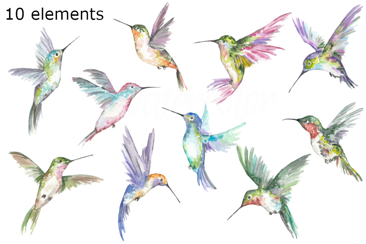 Hummingbird watercolor clipart, a Background Graphic by GoodFairyClipArt (Photo 2 of 2)