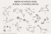 Birth Month Zodiac Constellations, an Illustration by IllustratorAnnie (Thumbnail 1 of 5)