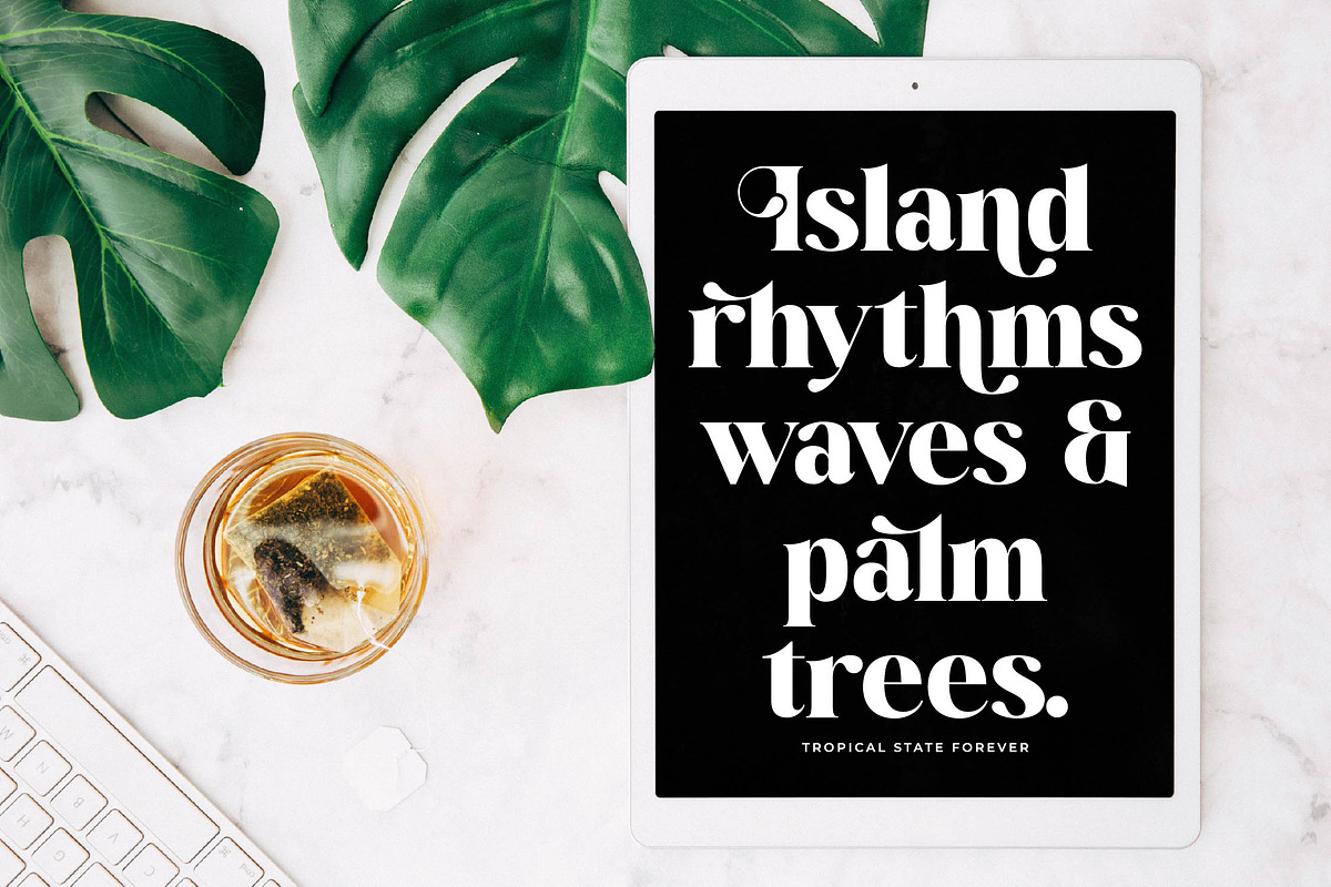 Mango Jungle Modern Bold Serif, a Serif Font by timelesstype.co (Photo 3 of 20)