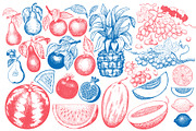 Fruits&Berries Vector Collection, a Food Illustration by Lubov Illustrations Shop (Thumbnail 2 of 6)