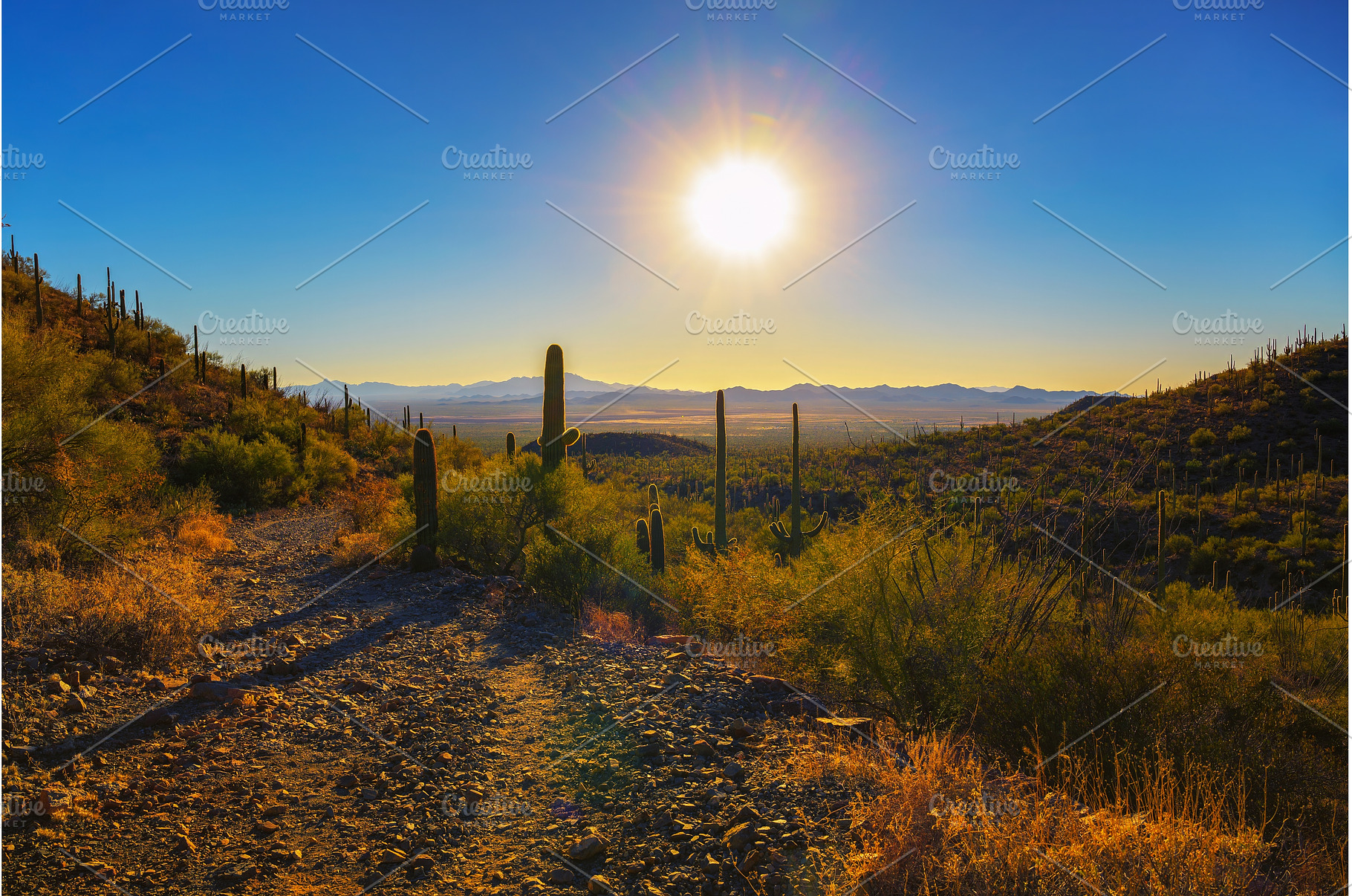 Sunset over King Canyon Trailhead in, a Nature Photo by Nick Fox