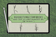 Reeds Brush Stamp Set for Procreate, a Brush Add-On by vectstudio (Thumbnail 3 of 3)