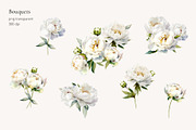 -30% Watercolor Peony Collection, an Object Illustration by bloomscape (Thumbnail 4 of 8)