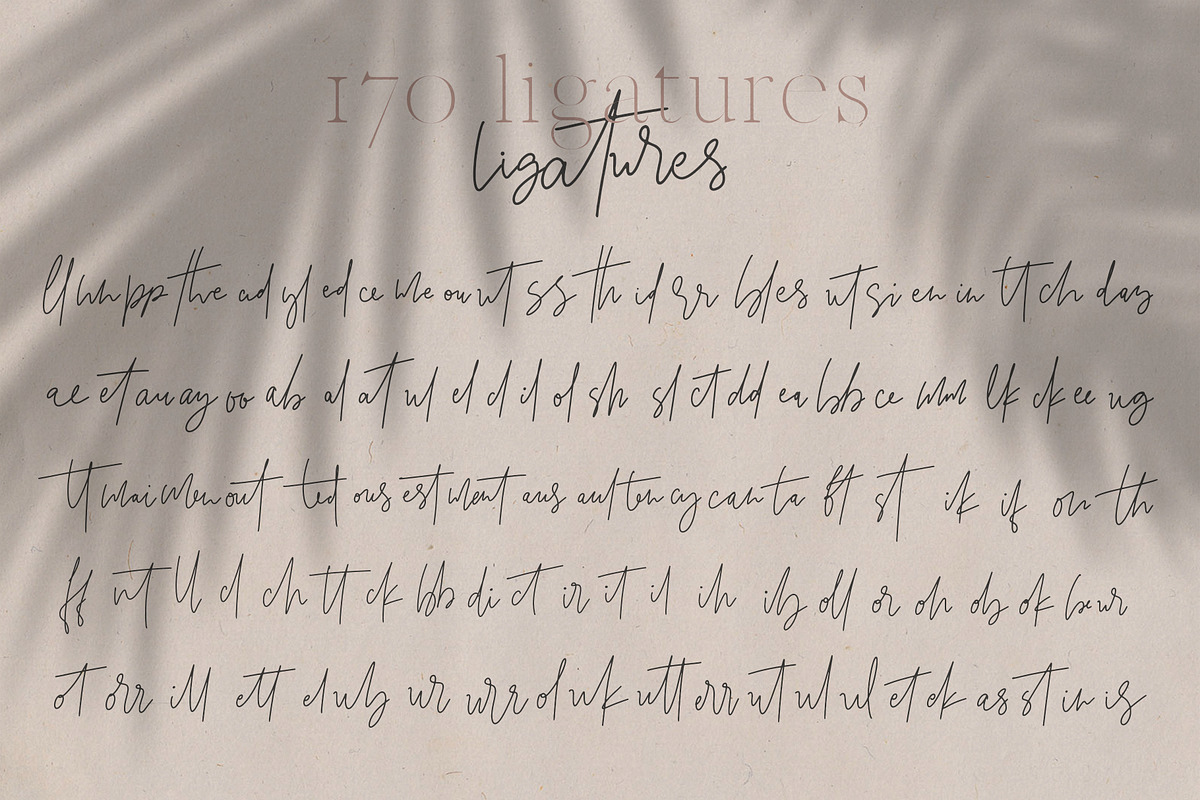 Marseille & Amsterdam Font Duo, a Serif Font by SilverStag Type Foundry (Photo 17 of 19)