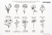Birth Flower Procreate Brush Stamps, a Brush Add-On by Murphy & Frank (Thumbnail 2 of 4)