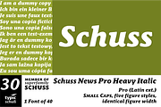 SchussNewsProHeavyIta No.30 (1 Font), a Serif Font by typic schuss (Thumbnail 1 of 6)