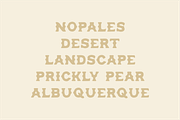 Opuntia - Curvy Spur Display Type, a Serif Font by MEG BURK CHOI (Thumbnail 4 of 4)