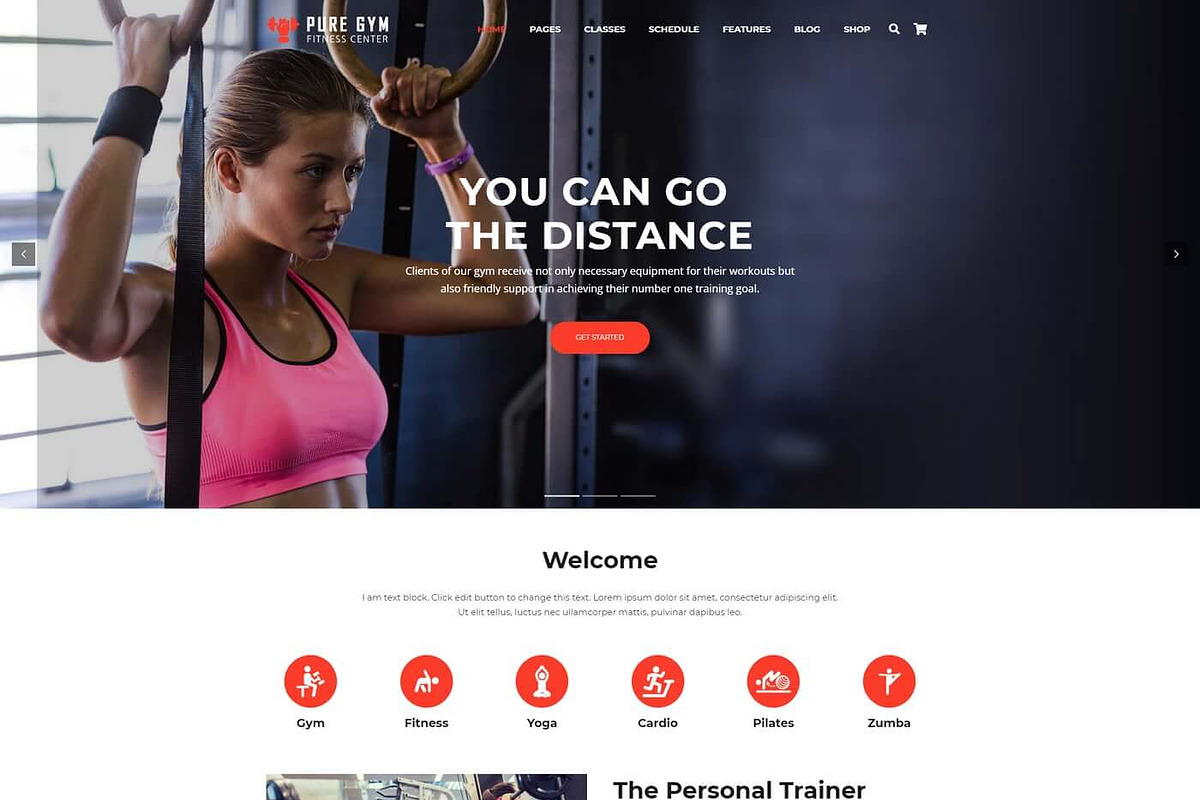 PureGym – Gym, Fitness & Business, a WordPress Template by Cherry Wordpress Theme (Photo 2 of 9)