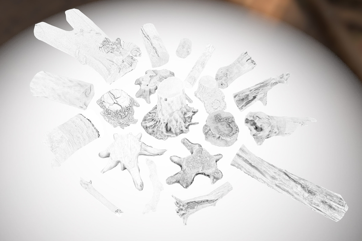 Forest Elements, an Environmental 3D Model by Beatheart Creative Studio (Photo 15 of 25)