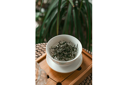 Fresh Green Tea Leaves in a, a Food & Drink Photo by Media Whale Stock