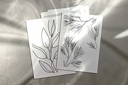 Spruce Branch line art & Patterns, an Illustration by Katya_lu (Thumbnail 5 of 7)