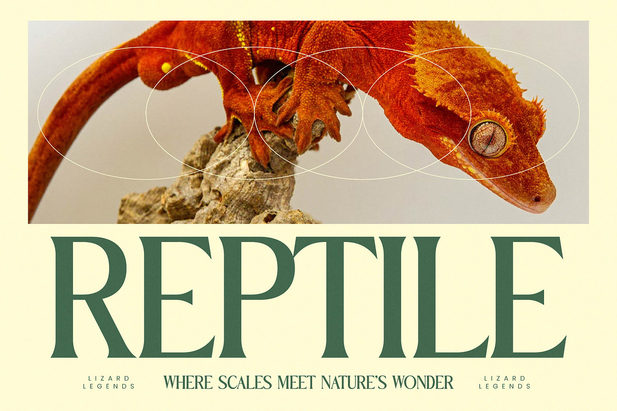 Benfica Royale Modern Serif Font, a Serif Font by timelesstype.co (Photo 14 of 20)