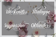Barna, a Script Font by studiobasic (Thumbnail 5 of 7)