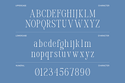 Yolane Modern Elegant Serif Font, a Serif Font by Rasio Studio (Thumbnail 2 of 11)