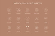 Floral Logo & Illustration, a Branding & Logo Template by Lightsense (Thumbnail 2 of 10)
