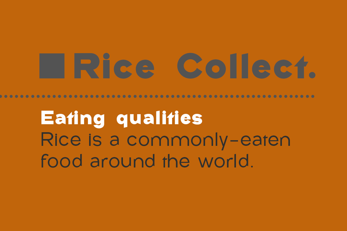 Rice Collect, a Sans Serif Font by groens (Photo 4 of 6)