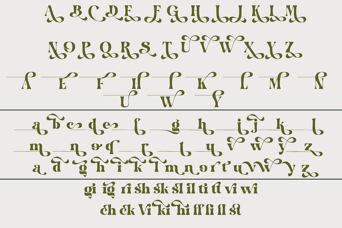 Hakiny – Serif Font, a Serif Font by NDNL Studio (Photo 9 of 9)