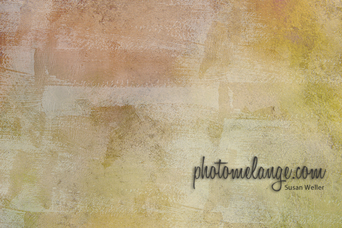 Photomelange Bushed Textures 12 x 16 preview 6