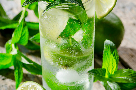Mojito cocktail featuring mojito, cocktail, and beverage, a Food & Drink Photo by hitdelight