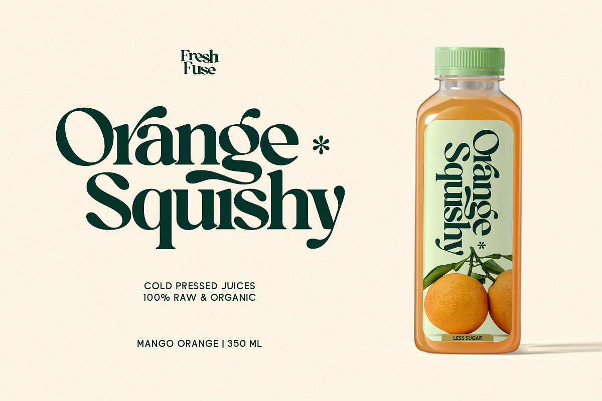 OV Treasure Retro Serif Font Family, a Serif Font by OV Type (Photo 11 of 21)