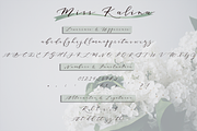 Miss. Kalina Script Font, a Script Font by Sala.Ink (Thumbnail 2 of 6)