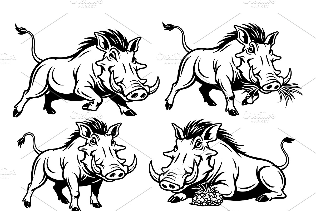 Set of warthog in various poses., an Animal Illustration by yod67