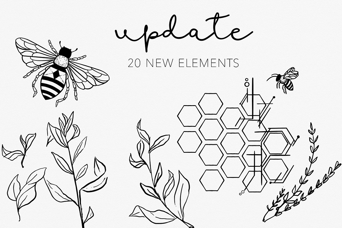 GOLD & BLACK INK BOTANICAL FLORALS, an Illustration by Wooly Pronto (Photo 2 of 9)