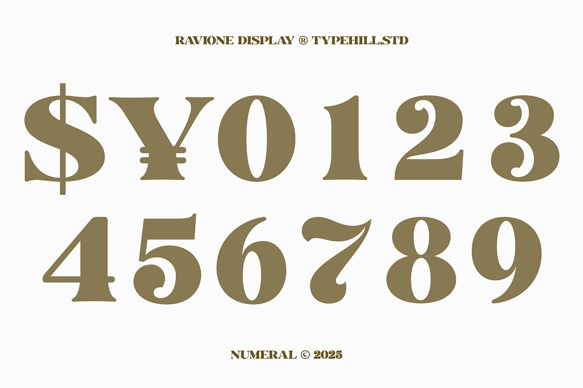 Ravione Display, a Serif Font by Typehill (Photo 8 of 11)