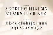 Vagues Elegant Serif, a Serif Font by Creatype Studio (Thumbnail 6 of 10)