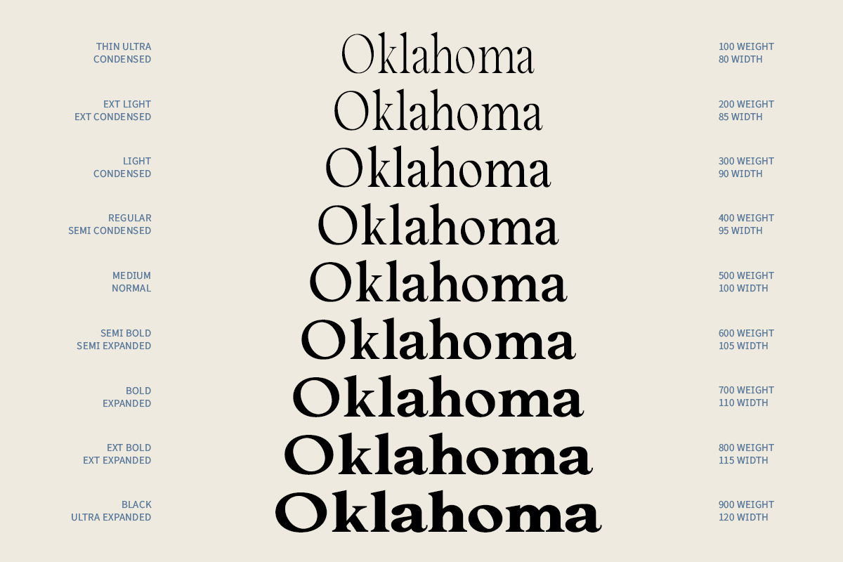 Cadera Serif | 162 Font Files, a Serif Font by Ws Studio (Photo 10 of 12)