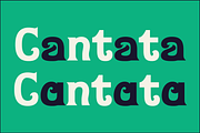 Berai – Festive Vintage Font, a Serif Font by Tiptop Graphic (Thumbnail 6 of 9)