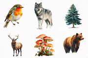 Watercolor Woodland Animals Clipart, an Illustration by DreamArtGraphic (Thumbnail 4 of 8)