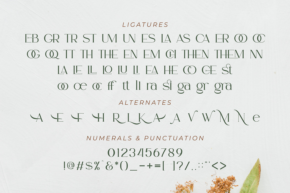 Ammira | A Modern and Elegant Serif, a Serif Font by Andrimada Creative (Photo 2 of 13)