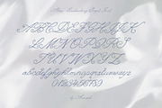 Alkes Romantic Whimsical Script Font, a Script Font by AnMark (Thumbnail 7 of 12)