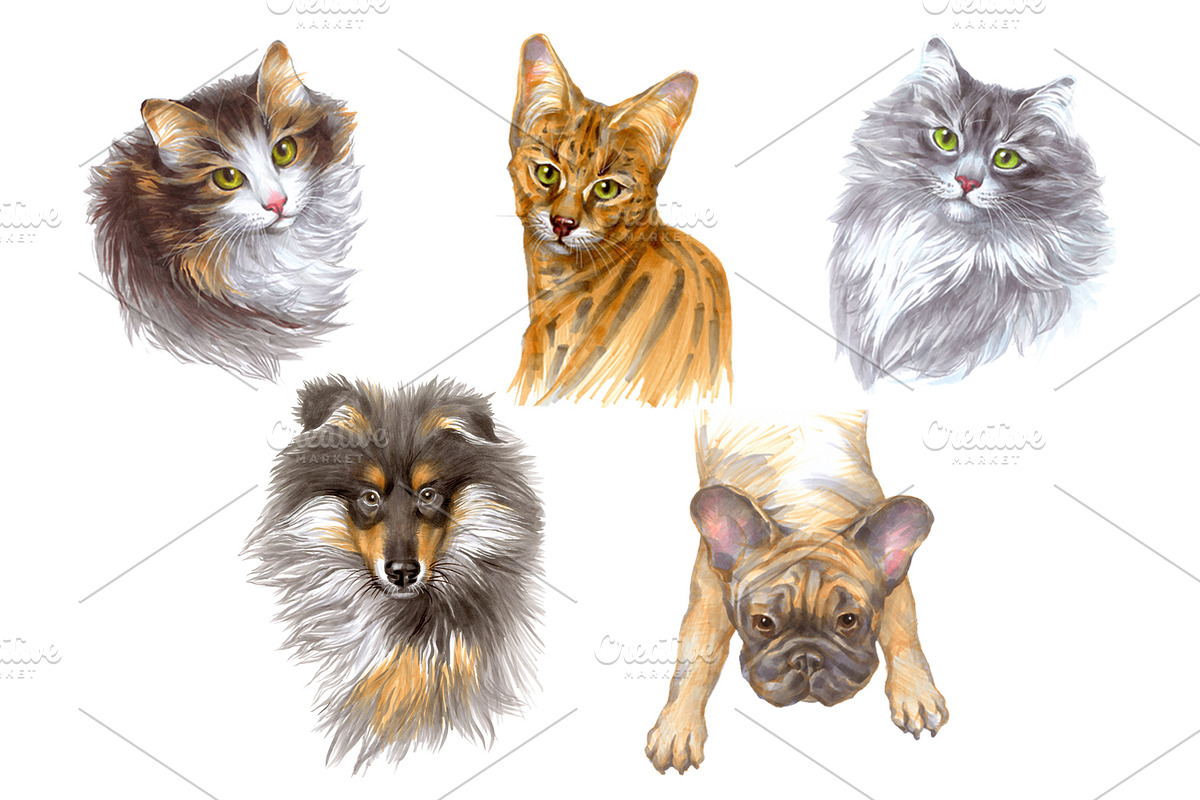 Dogs and Cats portraits, an Object Graphic by ViktoriArt (Photo 2 of 8)