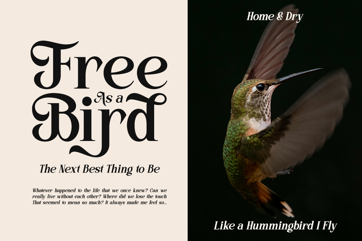 Kinder Land - Elegant Serif Font, a Serif Font by Say Studio (Photo 3 of 9)
