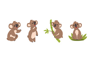 Funny Koala Animal with Cute Snout, an Animal Illustration by TopVectors