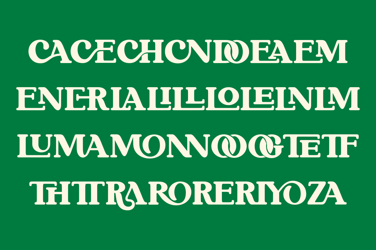 Never Aurora, a Serif Font by zaaintype (Photo 6 of 11)