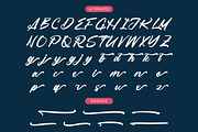 Mountain Silent Modern Brush Font, a Script Font by Letterena Studios Script (Thumbnail 19 of 20)