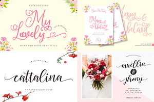 The Handwritten Bundle Fonts